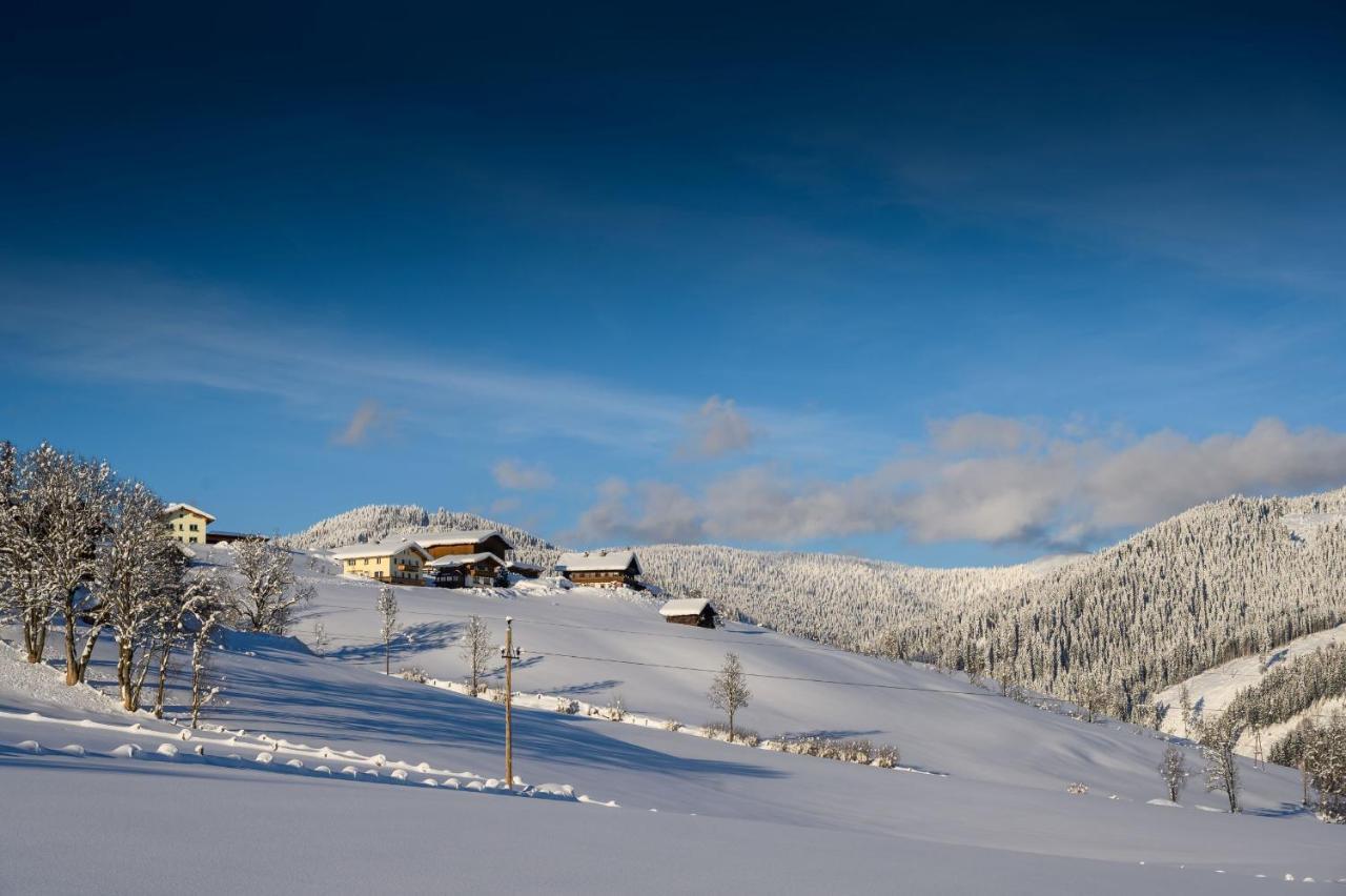 Parchenbauernhof Horner Hotel Flachau Exterior photo